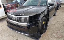 کیا تێلوراید